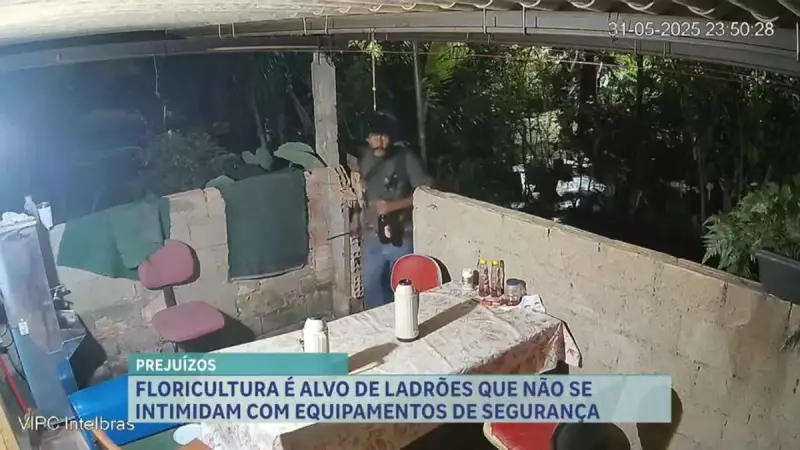 Floricultura em BH é alvo de três furtos em uma única noite; veja detalhes