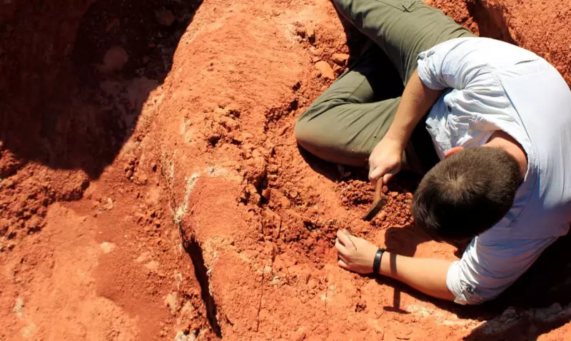Fóssil raro descoberto no Brasil revela segredos da origem dos dinossauros