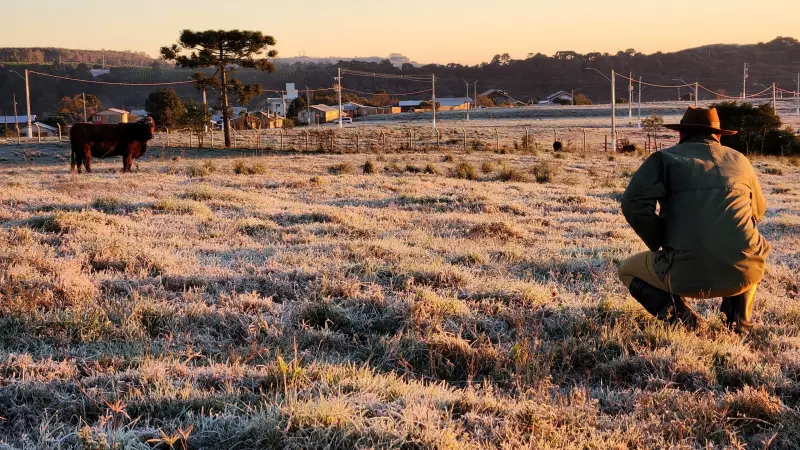 Frente fria intensa em SC: previsão de temperaturas negativas, geada e risco de congelamento nas estradas