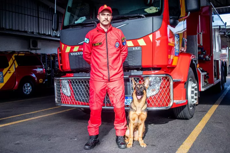 Frida, a cadela heroína: conheça a cão de busca e salvamento que vai ajudar bombeiros no Paraná