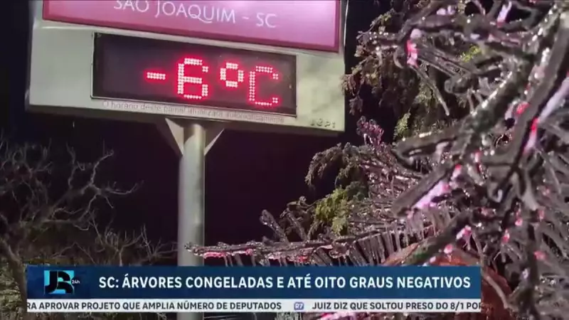 Frio extremo transforma paisagem de Santa Catarina em cenário congelado