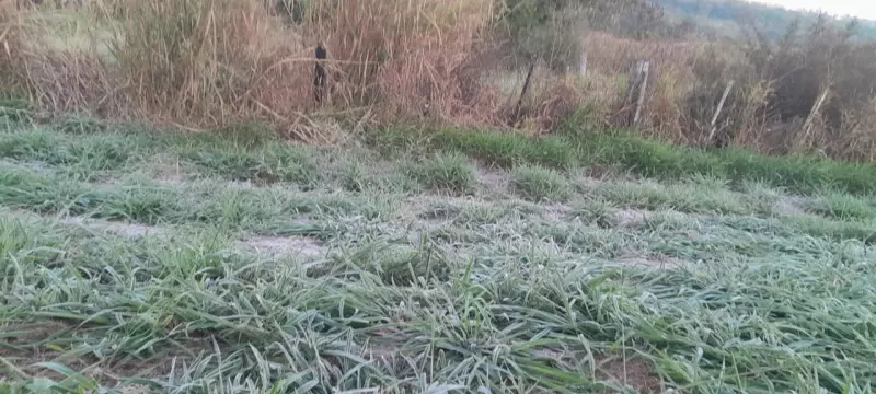 Frio intenso: cidades de São José do Rio Preto e Araçatuba registram temperaturas próximas a 0°C