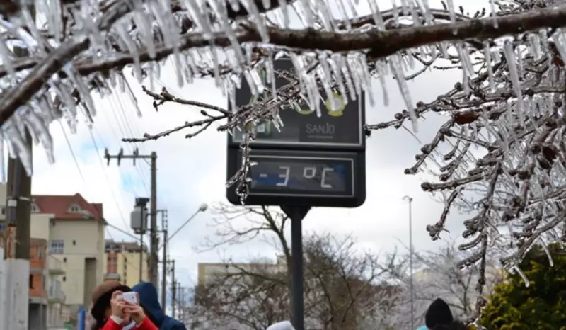 Frio intenso em SC é só o começo: Meteorologia prevê geada e neve no inverno