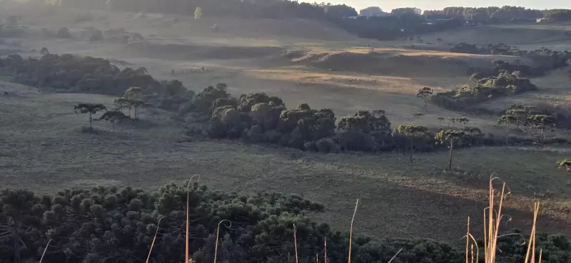 Frio intenso em SC: previsão para junho promete temperaturas abaixo de 7°C