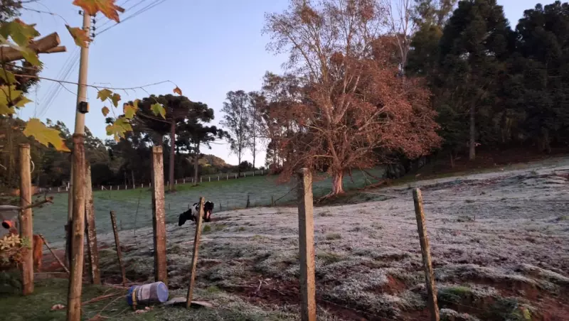 Frio intenso no RS: cidades registram temperaturas negativas e geada nesta semana