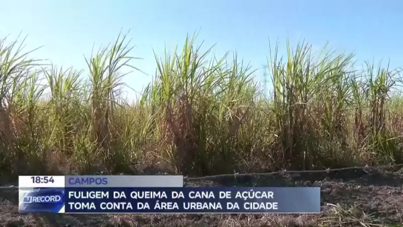 Fuligem da queima da cana-de-açúcar vira crise de saúde pública em Campos, RJ