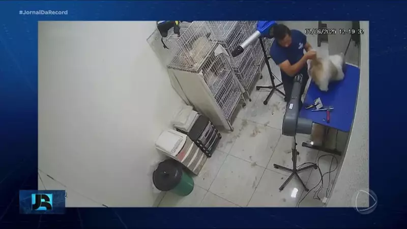 Funcionário de pet shop em Aparecida de Goiânia é flagrado agredindo cachorrinha durante tosa
