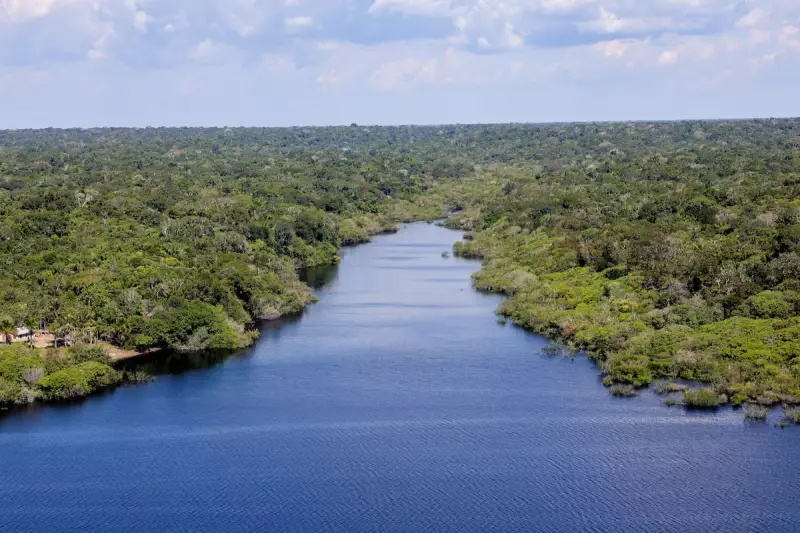 Fundo Amazônia bate recorde e destina mais de R$ 1 bilhão para projetos em 2025