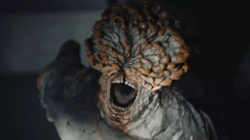 Fungo de 'The Last of Us' pode causar nova pandemia? O que diz a ciência