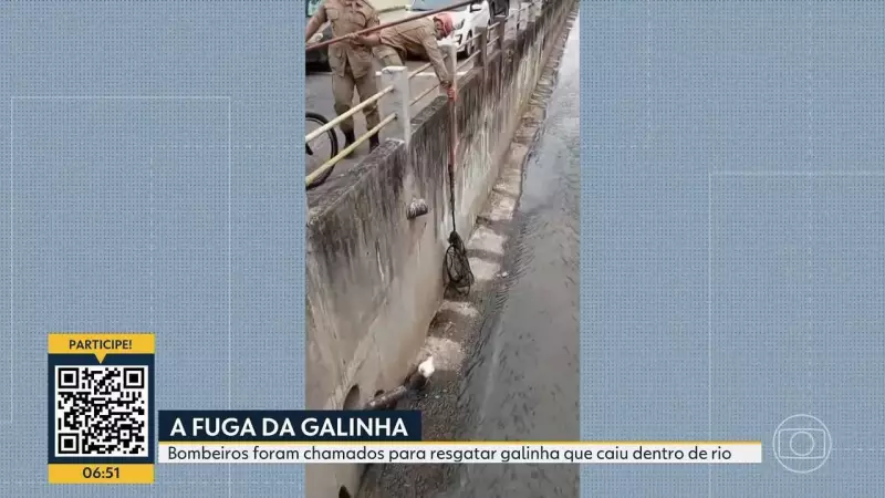 Galinha em apuros no Meier: Bombeiros realizam resgate inusitado no Rio de Janeiro