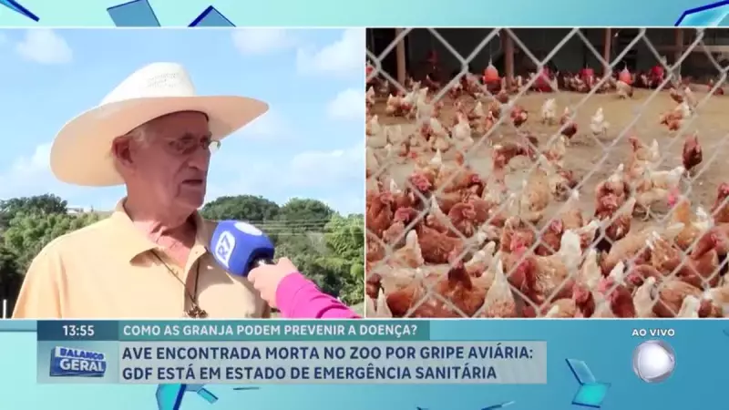 GDF declara emergência sanitária após primeiro caso de gripe aviária no DF