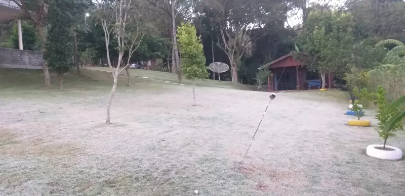 Geada atinge o Paraná: cidades registram temperaturas negativas e agricultores em alerta