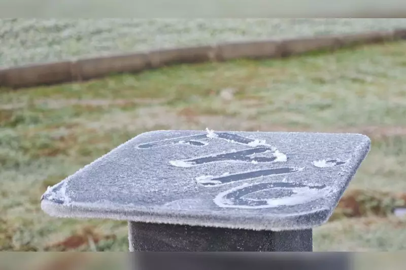 Geada intensa no Oeste de SC: Município registra impressionantes -4,7°C