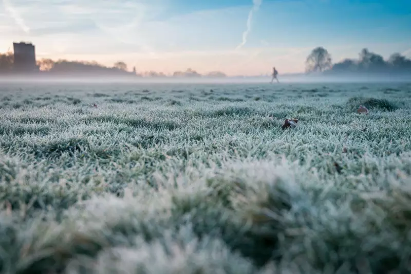 Geada negra e até neve: o que esperar do inverno no Oeste de SC em 2024