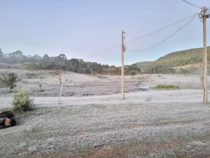 Geada negra e temperaturas abaixo de zero: Paraná enfrenta frio intenso nesta semana