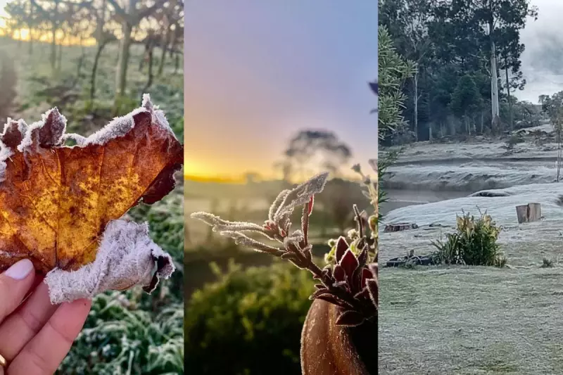 Geada transforma Dia dos Namorados em cidade de SC: veja fotos surpreendentes!