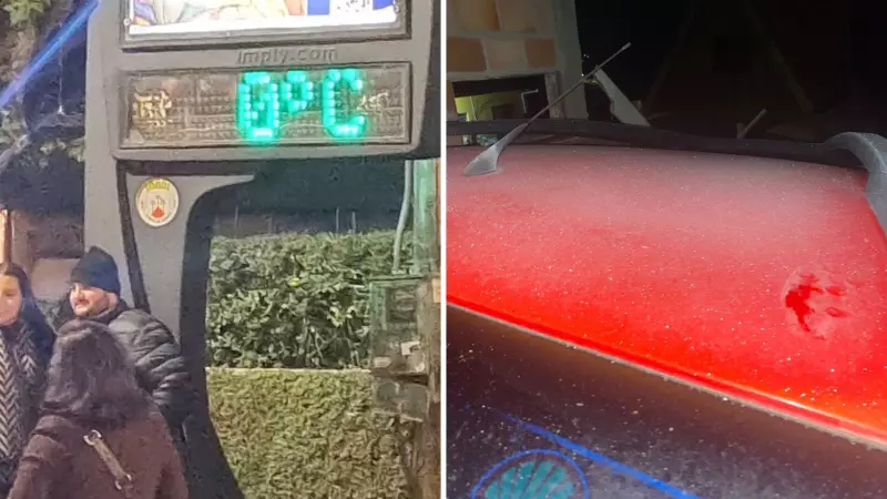 Geadas e frio intenso: cidades do Vale do Paraíba registram temperaturas abaixo de zero