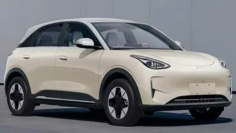 Geely Geome: o carro elétrico que promete rivalizar com o Dolphin no Brasil