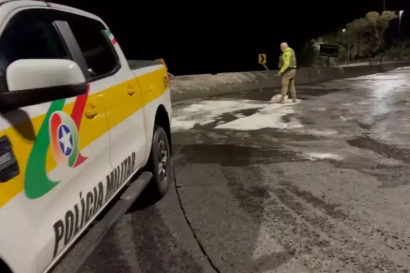Gelo fecha Serra do Rio do Rastro em SC no dia mais frio do ano — veja imagens impressionantes