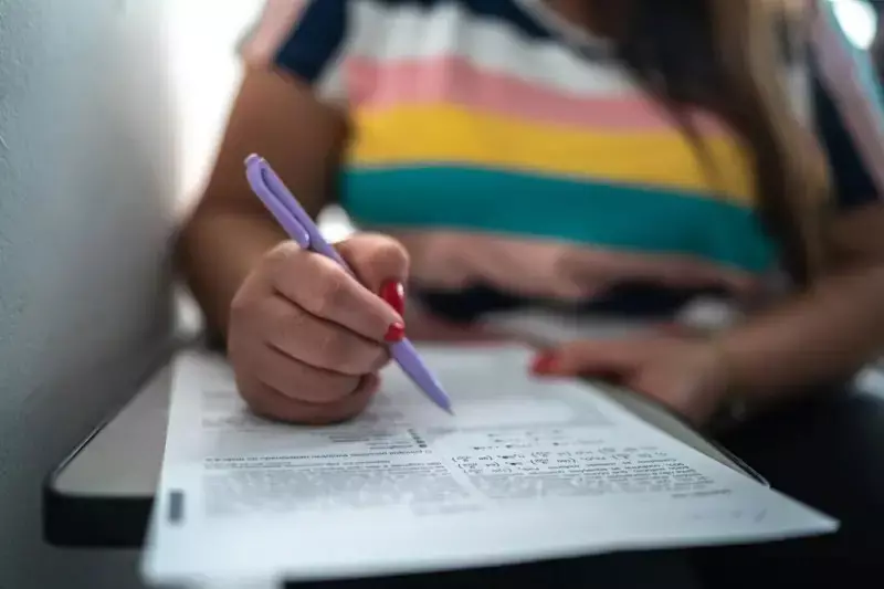 Governo autoriza novos concursos públicos: oportunidades para 2025
