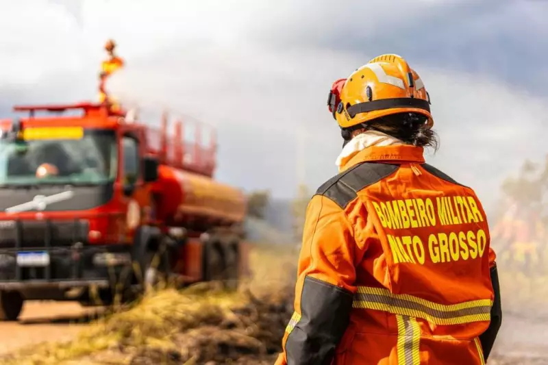 Governo de MT lança operação contra incêndios no Pantanal em meio a alerta de estiagem