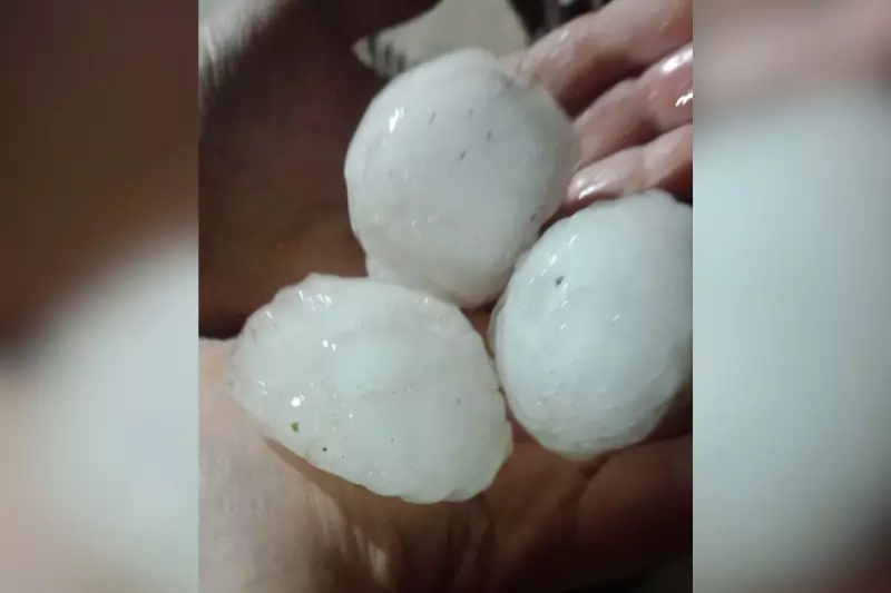 Granizo gigante do tamanho de ovos causa destruição em Videira, SC