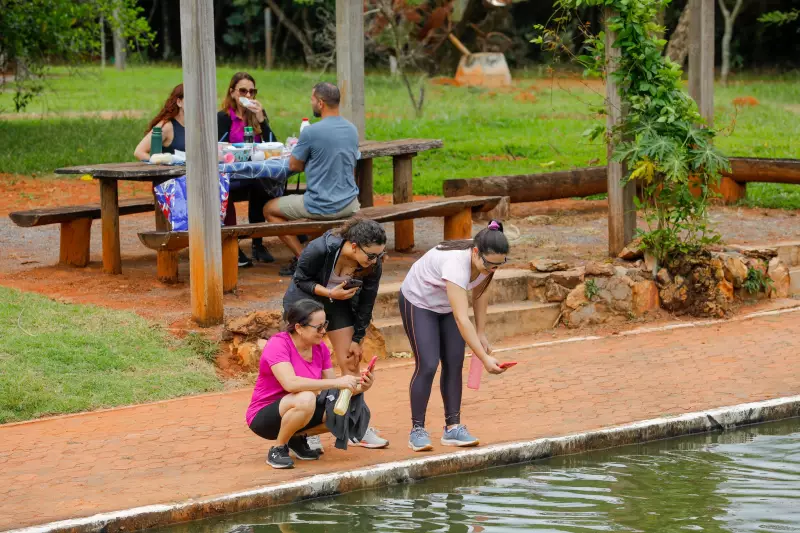 Greve nas escolas? Confira opções gratuitas de cultura e diversão para crianças no DF