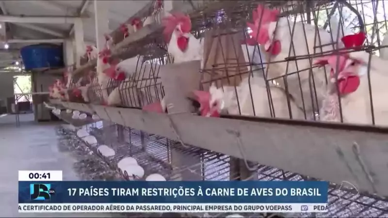 Gripe Aviária: 17 Países Retiram Restrições à Importação de Frango do Brasil