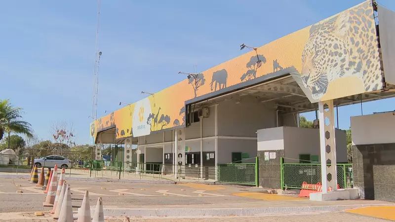 Gripe Aviária em Brasília: 13 funcionários do zoológico são monitorados após contato com ave doente