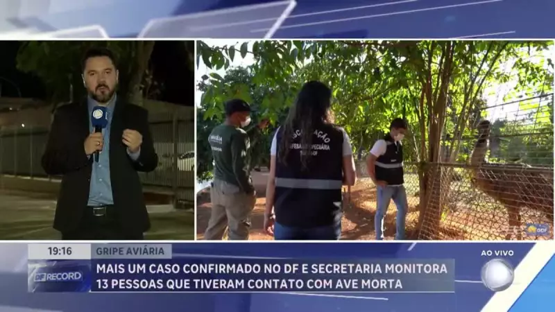 Gripe Aviária em Brasília: Zoológico permanece fechado após confirmação de novo caso
