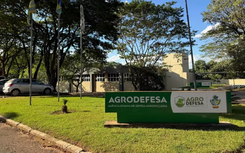 Gripe Aviária em Goiás: Caso confirmado em galinhas de criação doméstica alerta autoridades