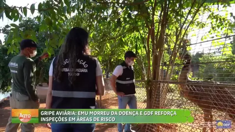 Gripe Aviária: GDF intensifica fiscalizações em áreas de risco no Zoológico de Brasília