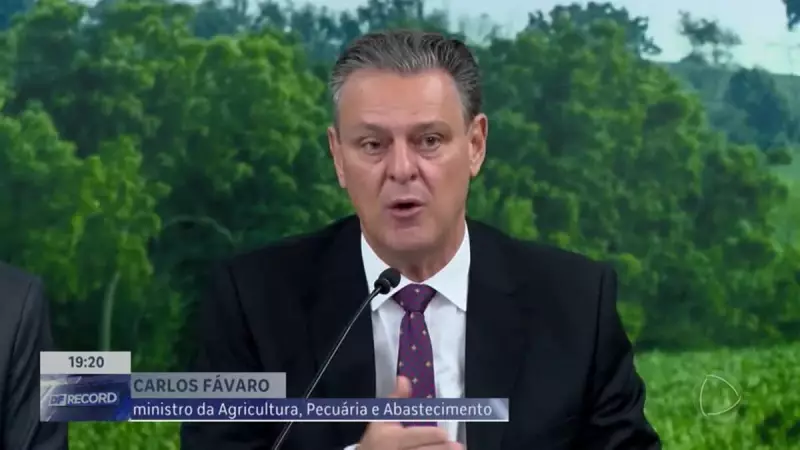 Gripe Aviária: Ministro da Agricultura garante baixo risco para humanos