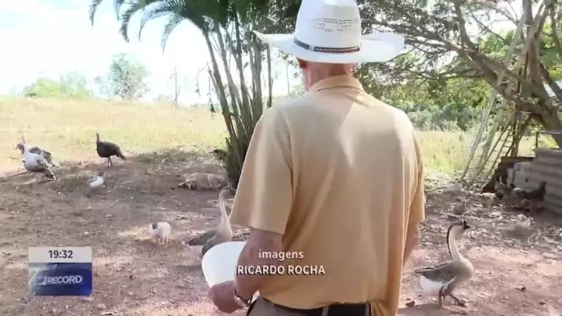 Gripe Aviária: Propriedade rural perto do Zoológico de Brasília reforça cuidados para evitar surto