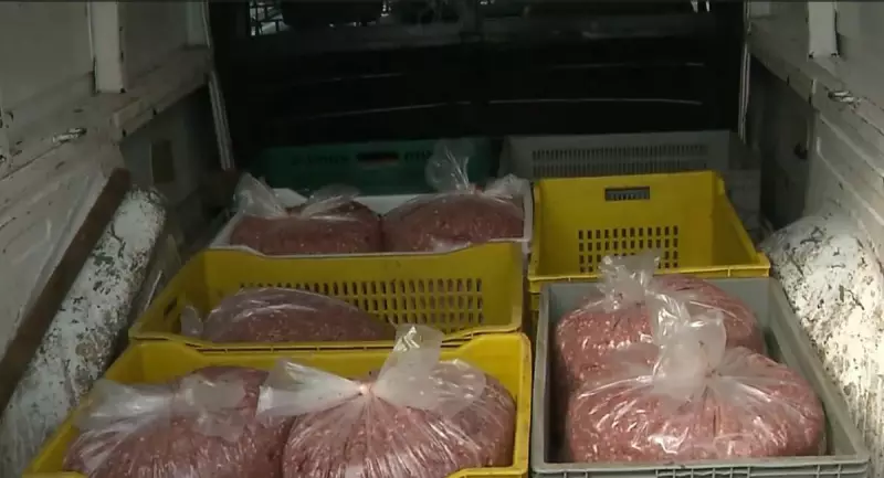 Guarda Municipal apreende 140 kg de carne estragada em pastelarias de BH: risco à saúde pública