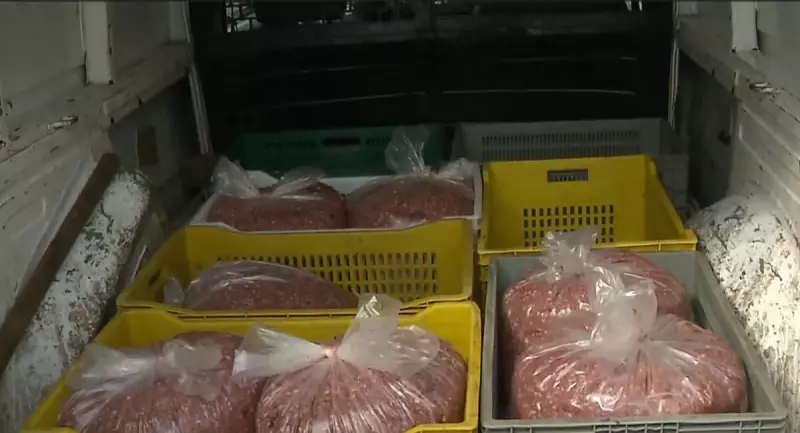 Guarda Municipal apreende 140 kg de carne estragada que seria vendida em pastelarias de BH