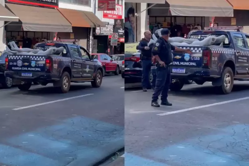 Guarda Municipal de Tatuí apreende manequins em ação inusitada que viraliza nas redes