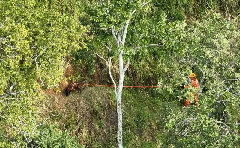 Guardião das Nascentes é encontrado morto em MG: ativista era símbolo da luta ambiental