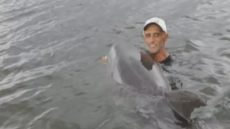 Heróis do mar: pescadores salvam golfinho encalhado na Ilha do Governador