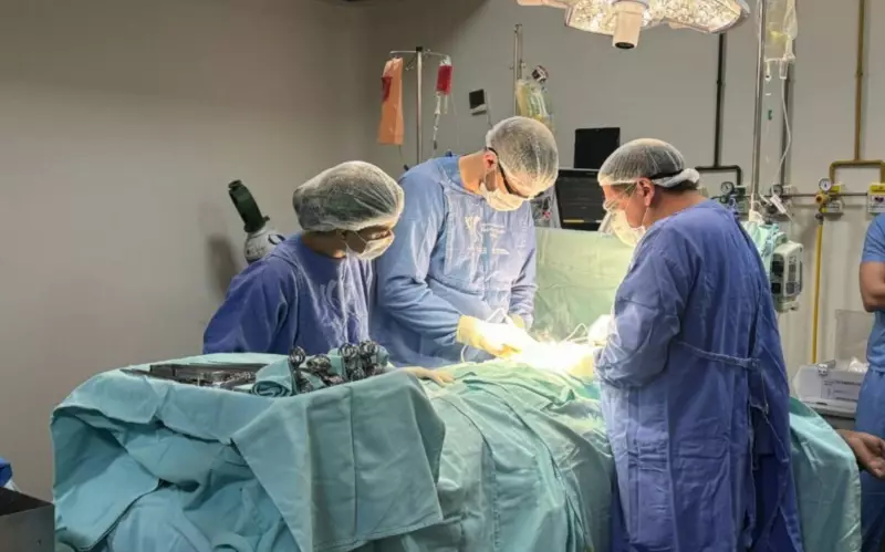 HGG bate recorde histórico com mais de 180 transplantes de órgãos em um ano