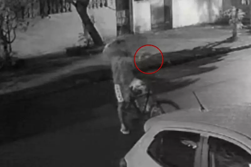 Homem ameaça mãe e filha com arma após saída da escola no litoral de SP; veja o vídeo
