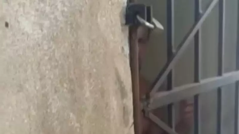Homem com transtornos mentais é encontrado trancado em jaula em Magé: caso choca moradores