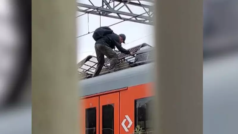 Homem desmonta trem da CPTM para furtar fios de cobre: veja o vídeo chocante