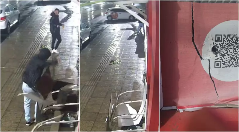 Homem destrói abrigo de animais de rua em Santa Catarina; veja o vídeo chocante