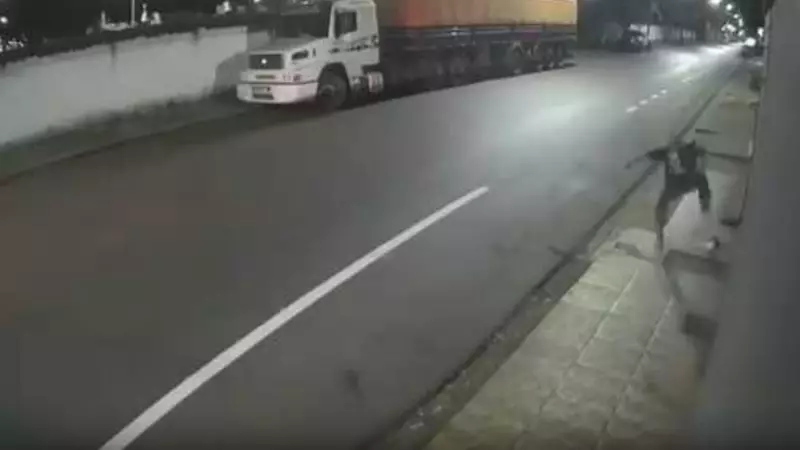 Homem é filmado chutando e pisoteando filhote de cachorro no interior de MG