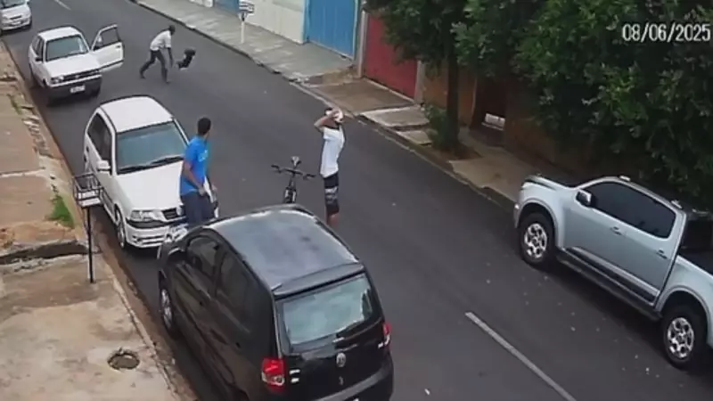 Homem é flagrado em vídeo maltratando cachorra em Araçatuba; caso choca moradores