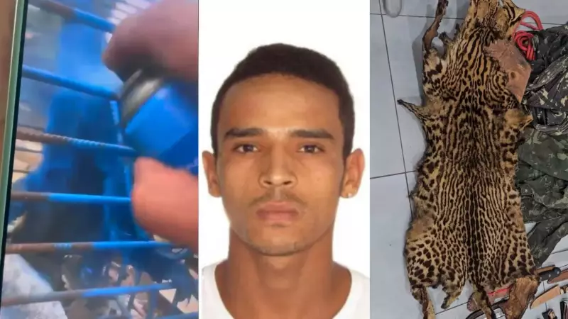 Homem é multado em R$ 17 mil e volta à prisão por crimes bizarros: pintar macaco de azul e quebrar relógio histórico