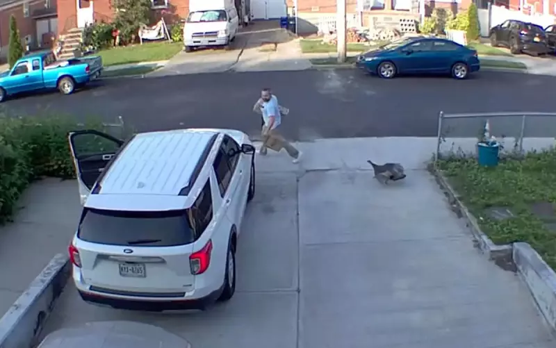 Homem é perseguido por peru furioso em frente à casa nos EUA — Veja o vídeo!