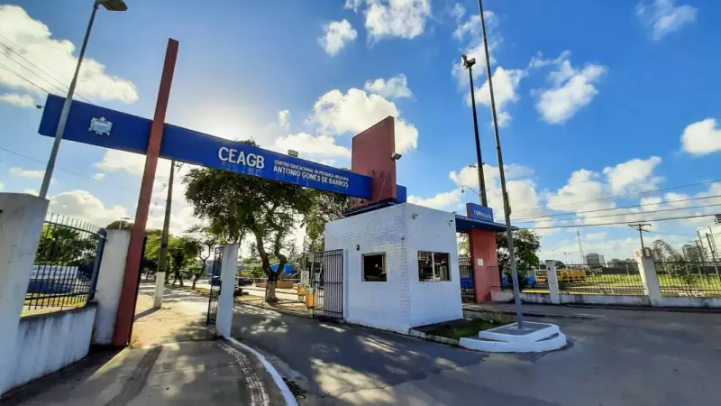 Homem é preso após furtar retrovisor de carro da ex-sogra dentro do CEPA em Maceió