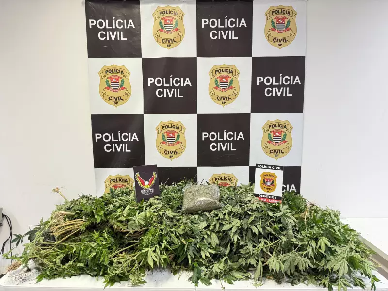 Homem é preso com 20 kg de maconha em São José dos Campos após vender drogas pelas redes sociais